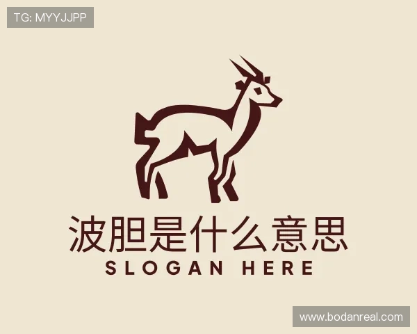 解读大小球盘口怎么看
